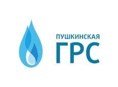 Топпинговый пол для автогаража в посёлке Лесные Поляны